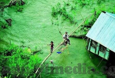 爱情岛AV网站麻豆-爱情岛与麻豆，虚构的旅程与现实生活的交汇点