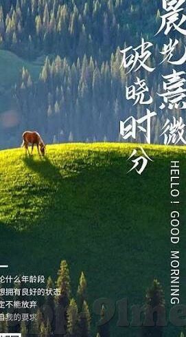 麻豆传媒国产剧情-麻豆传媒，国产剧情的多元化与深度透视