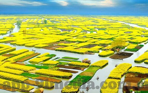 麻豆传媒视频app下载-麻豆传媒视频APP，解锁多元娱乐享受