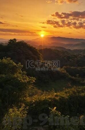免费观看麻豆91-品味网络影视新体验——免费观赏麻豆91的乐趣与挑战