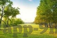 糖心官网怎么进不去-糖心无法进入的烦恼