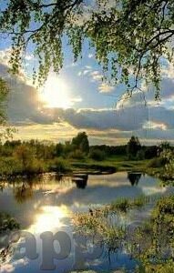 在线观看麻豆传媒视频-尽情欣赏，数字时代的创意视界，在线观看麻豆传媒精彩视频体验
